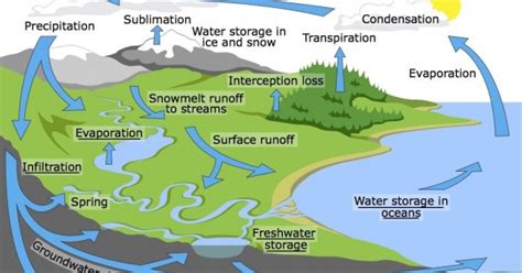 What Does Surface Runoff Mean In The Water Cycle