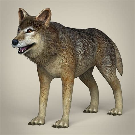 D Model Low Poly Realistic Wolf Vr Ar Low Poly Max Obj Ds Fbx C D