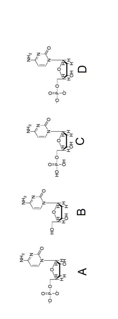 Solved Which structure is deoxycytidine monophosphate? | Chegg.com