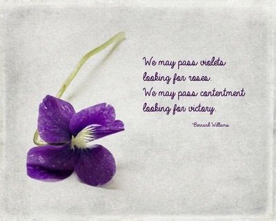 Purple Flower with Sweet Violets Quotes