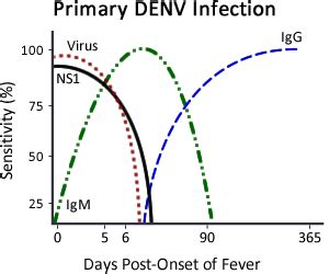 Rationale for Timing of Diagnostic Testing