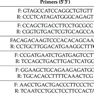 Relative Gene Expression Of Col Ocn On Op And Alp In Mscs Cultured