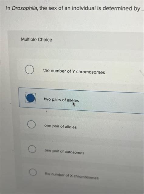 Solved In Drosophila The Sex Of An Individual Is Determined Chegg