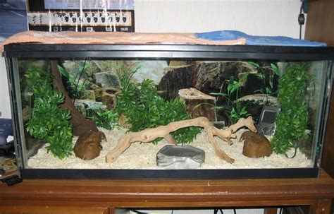 Aggregate more than 66 ball python tank decor best - seven.edu.vn