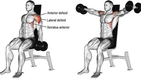 En Doğru Formla Dumbbell Shoulder Press SHREDDED BROTHERS