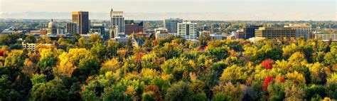 Tree Colors Of Yellow Red And Green In Fall Of Boise Idaho Stock Image