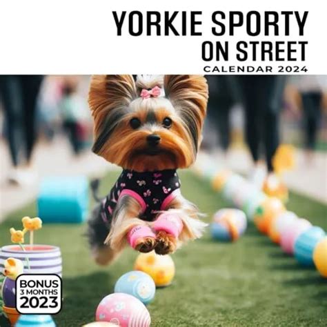 Yorkie Sporty On Street Calendar 2024 Jan 2024 To Dec 2024 Bonus 3