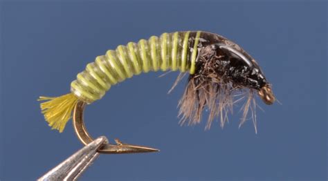 Electric Caddis Golden Olive And Gray Dette Flies