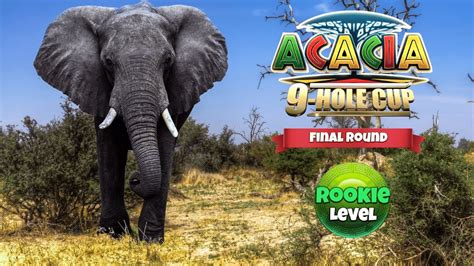 Golf Clash Acacia Hole Cup Final Round Rookie Youtube