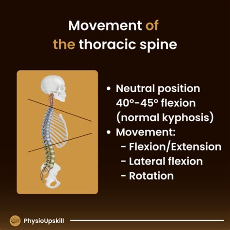 Episode Kinesiology Of Thoracic Spine Sagittal Plane Kinematics