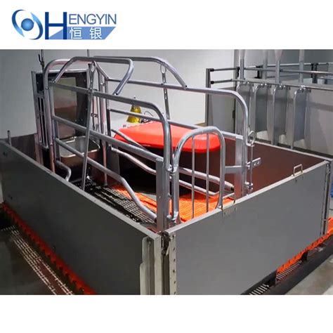 Pig Equipment Farrowing Crate Pig Farm Equipment Farrowing Pen Pig Cage