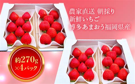 農家直送 朝採り新鮮いちご【博多あまおう】 約270g×4パック 福岡県産 先行予約 2023年11月より順次発送 Ny001 福岡