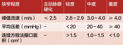 心脏超声报告不会看？先熟记这 6 大指标！ 丁香园