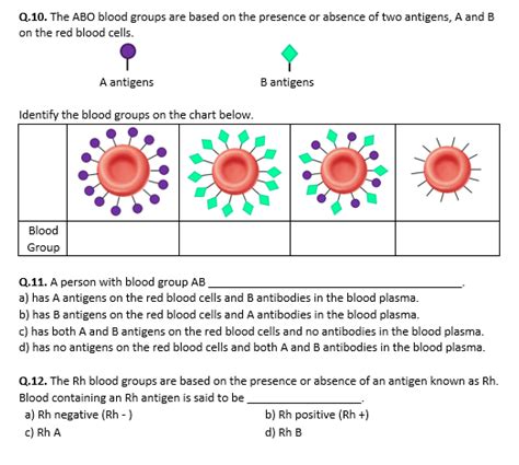 Components Of Blood And Blood Groups Worksheet Distance Learning