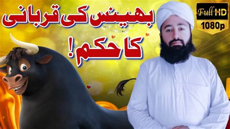 Bhais Ki Qurbani Ka Hukam Most Important Video Mufti Mazhar