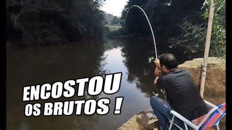 Bateu Curimba E Pacu Bruto Na Ceva Do Rio Atibaia Youtube