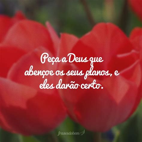 Some Red Flowers With The Words Peca Deus Que Abre O Ses Flono E El Diario