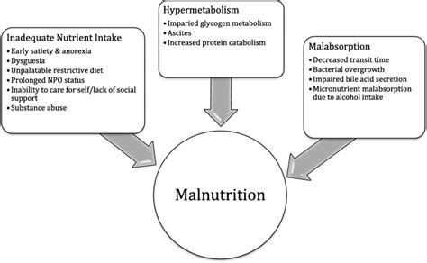 Contributing factors to the development of malnutrition in advanced ...