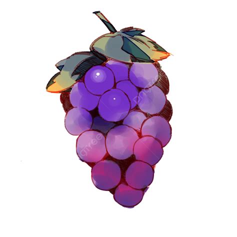 Uva Uva Morada Fruta Planta PNG Púrpura Planta Fruta PNG y PSD para