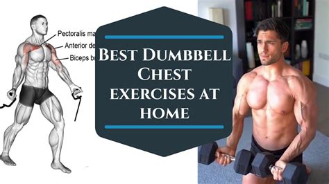 Best Dumbbell Chest Workout At Home Get Bigger Fast Youtube