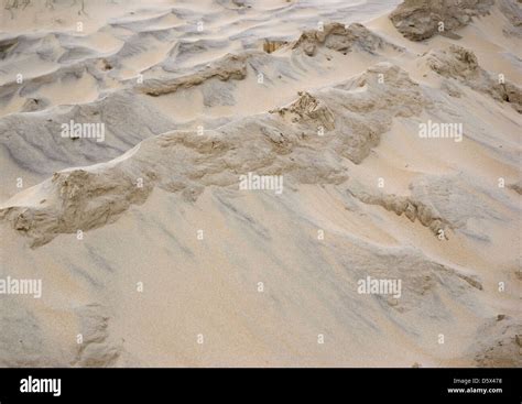 Sand Dunes at Camber Sands, East Sussex, UK Stock Photo - Alamy