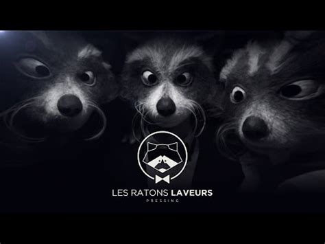 Les Ratons Laveurs service de pressing à domicile Le Teaser YouTube