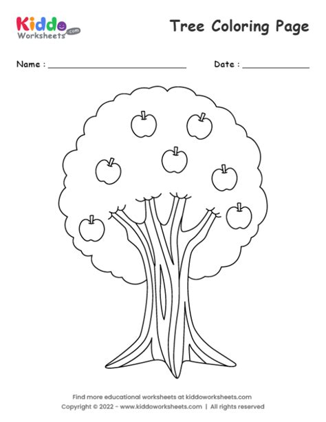 Life Cycle Of A Tree Worksheet Teach Starter Worksheets Library