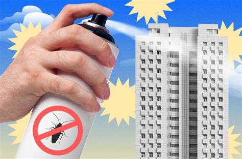 Тараканы в квартире - откуда и почему, виды, профилактика и как бороться