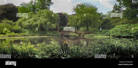 Small bridge in garden hi-res stock photography and images - Alamy