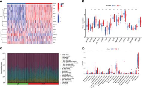 Frontiers Identification Of Cuproptosis Related Gene Clusters And