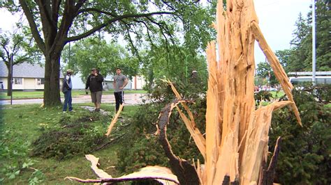 Lightning Strike Explodes Tree Cbcca