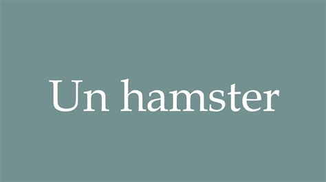 How to Pronounce ''Un hamster'' (A hamster) Correctly in French - YouTube