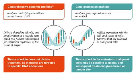 Cup Syndrome Cancer Of Unknown Primary Genomic Profiling