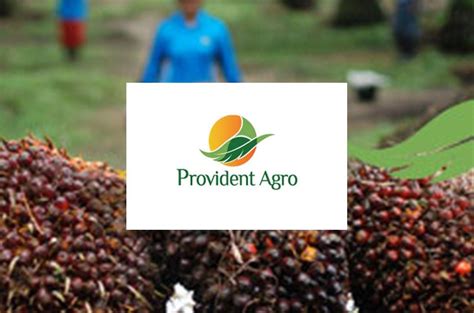 Provident Investasi Bersama PALM Tawarkan Kupon Obligasi 9 75