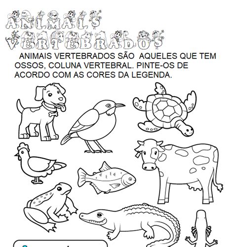 Saber E Saberes ANIMAIS VERTEBRADOS