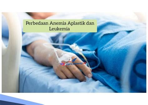 Punya Gejala Yang Hampir Mirip Ternyata Ini Perbedaan Anemia Aplastik