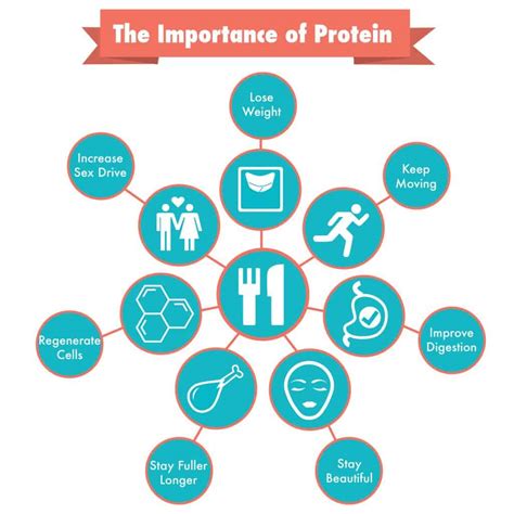 The Ultimate Guide To Protein: How Much Do You Need Each Day? – Inspiyr.com 