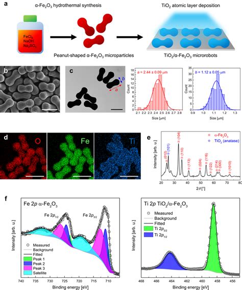 Fabrication And Characterization Of Tio Fe O Microrobots A Scheme