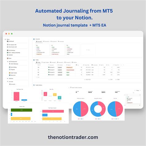 Automated Trading Journal Notion Template EA Starter Etsy