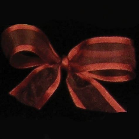 The Ribbon People Chocolate Brown Solid Edged Craft Ribbon X