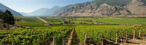 Oliver Wine Region of British Columbia | Wine BC