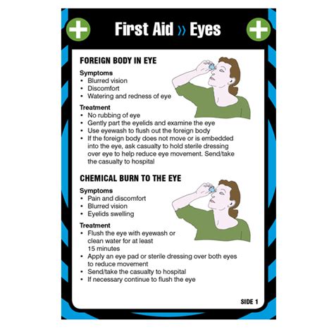 First Aid Pocket Guide For Eyes Signs Posters Books