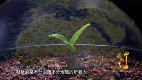 《感动中国》2022年度人物揭晓！“菌草之父”林占熺光荣上榜 关注森林