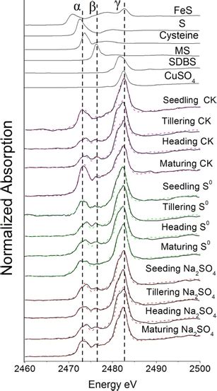 Sulfur K Edge Xanes Of Reference Compounds And Soil Samples Dashed