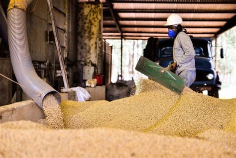 Campo Futuro levanta custos de produção de pecuária de corte e grãos