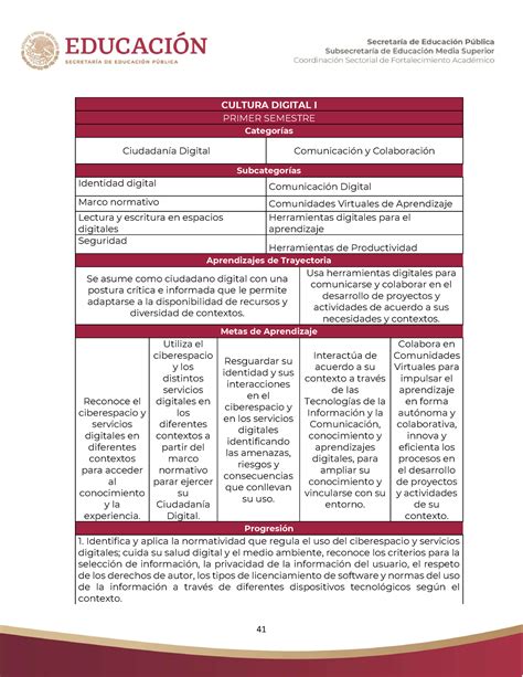 Tabla De Categor As Y Progresiones De Cultura Digital I Cultura