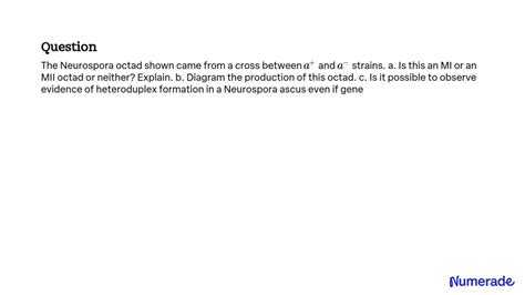 Solved The Neurospora Octad Shown Came From A Cross Between A And A