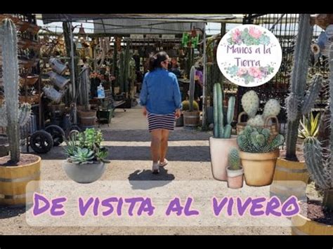 Visita A Un Vivero Precioso Youtube