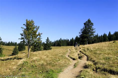 Feldbergsteig Premiumwanderweg Am Feldberg