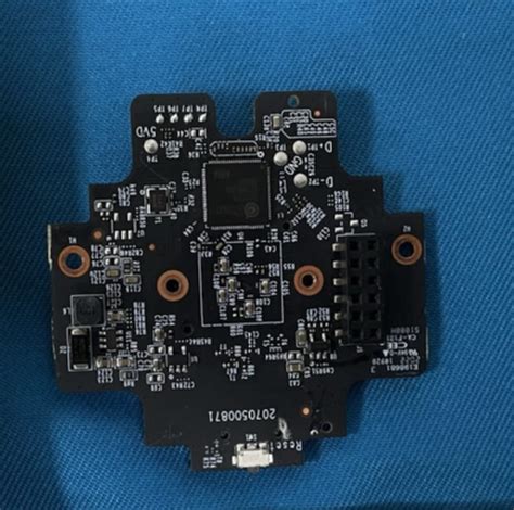 TP-Link Tapo C310 camera - sizeof(cat)